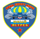 Юный ястреб